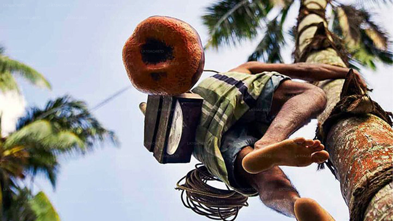 Tour Sustentable (10 Días)