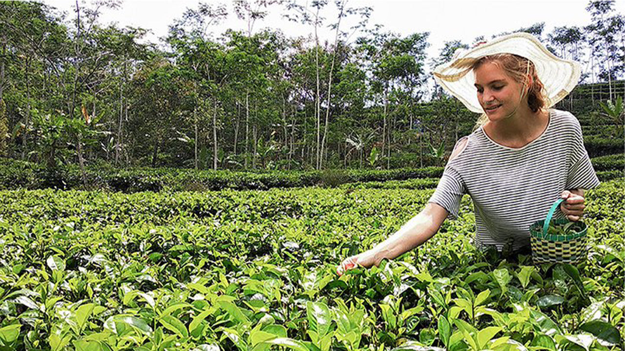 Tour Sustentable (10 Días)