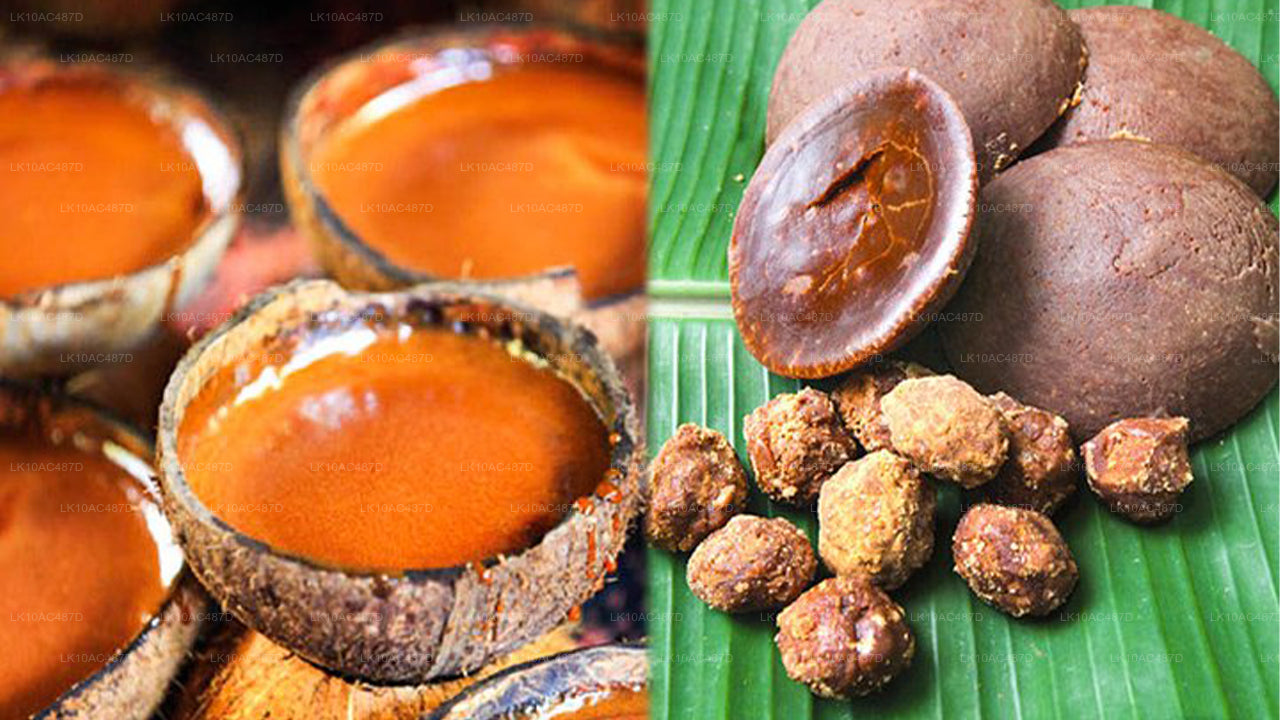 Tour Sustentable (10 Días)