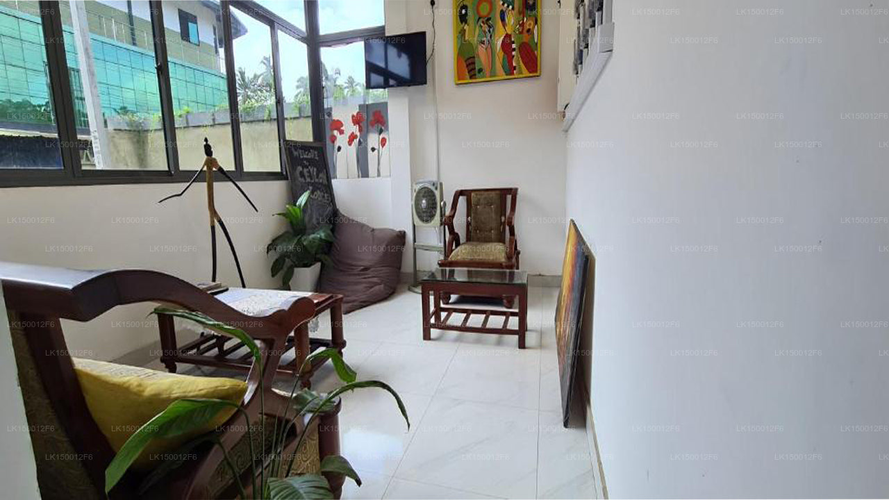 Ceylon Lodge - Hotel y albergue Airport Transit, Negombo