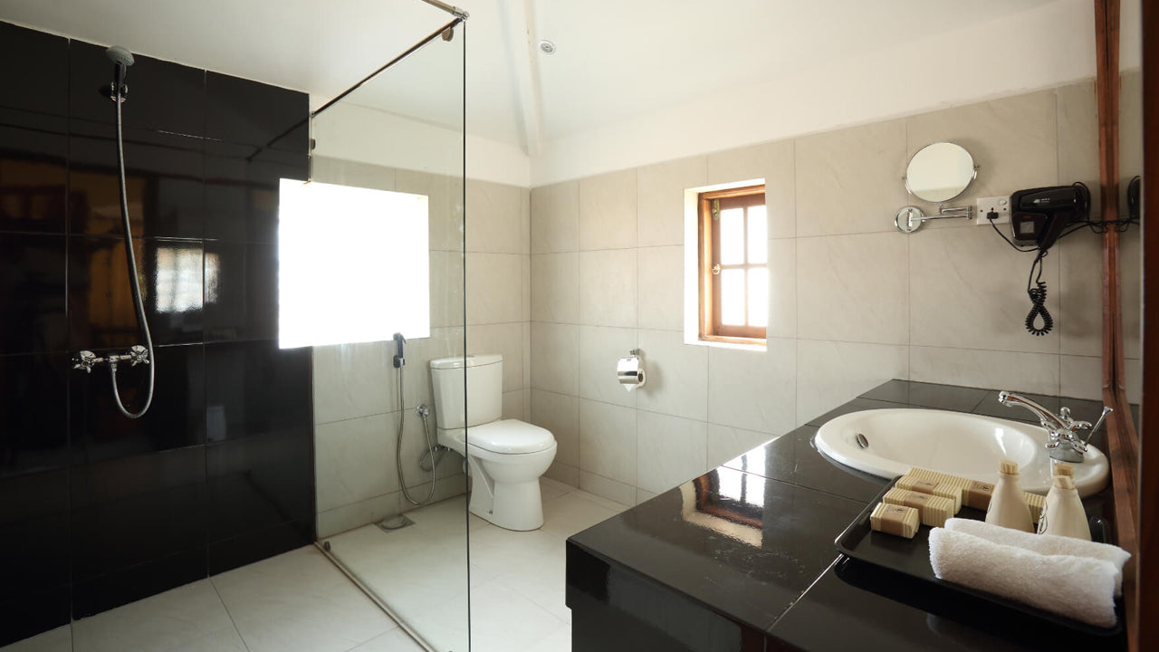 El santuario de Tissawewa, Anuradhapura