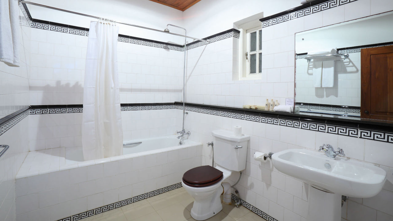 El santuario de Tissawewa, Anuradhapura