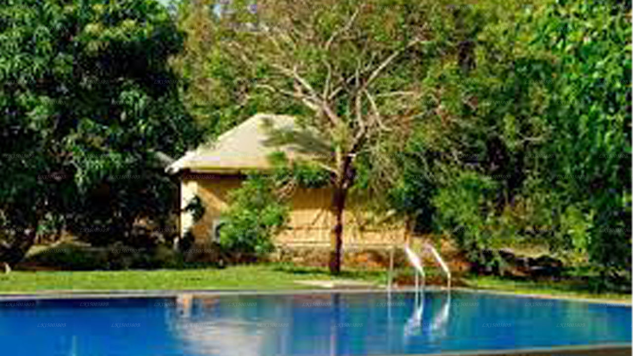 The Yala Adventure, Tissamaharamaya