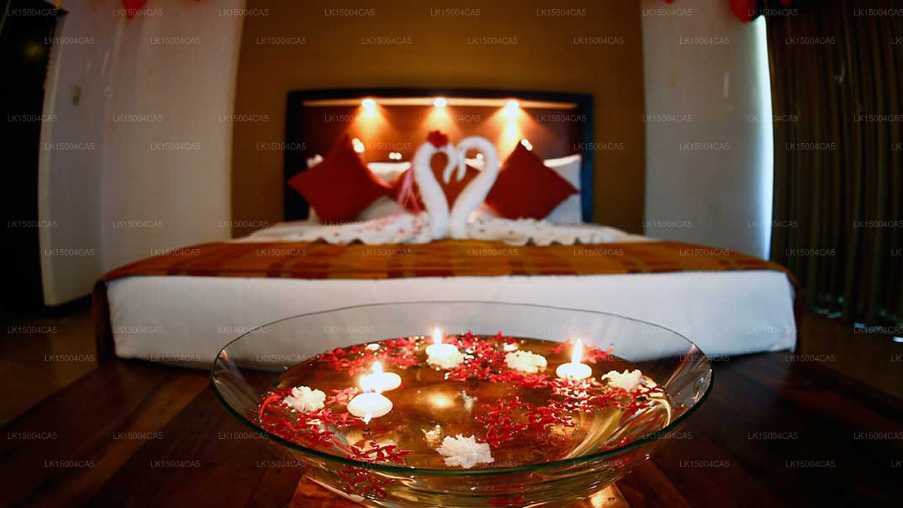 Hotel Pegasus Reef, Wattala