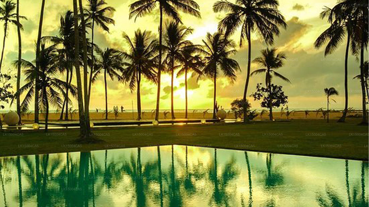 Hotel Pegasus Reef, Wattala