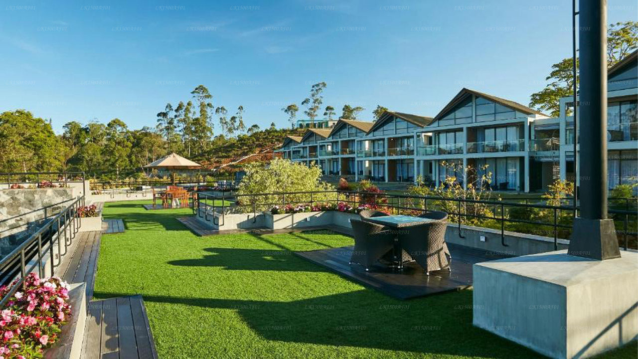 The Argyle - Luxury Boutique Hotel, Hatton