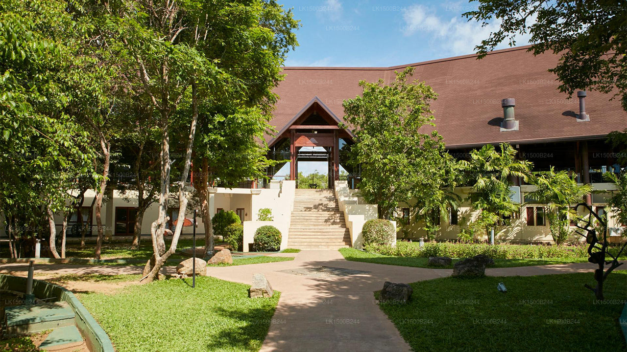 Occidental Paradise, Dambulla