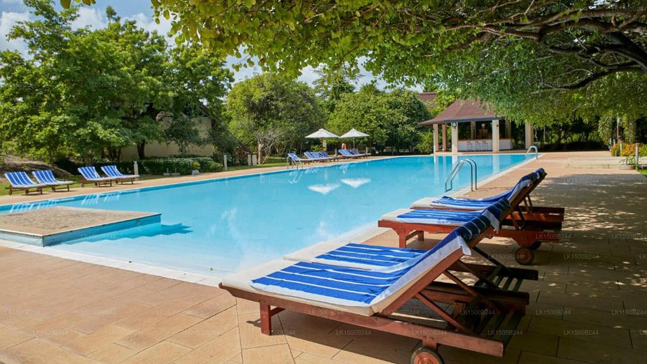 Occidental Paradise, Dambulla