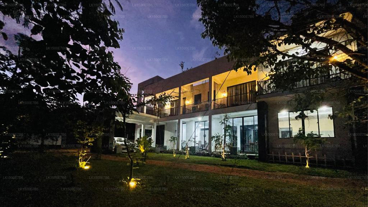 Hotel Mustang Negro, Dambulla