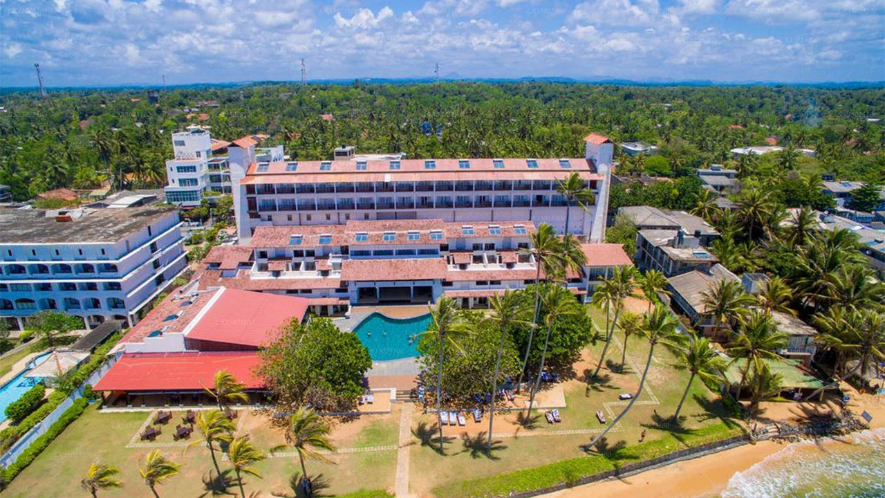 Cítricos Hikkaduwa, Hikkaduwa