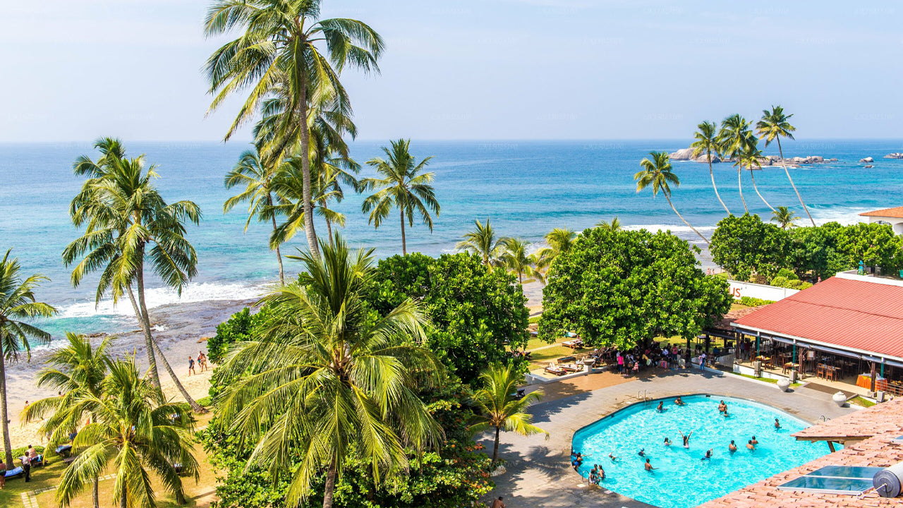 Cítricos Hikkaduwa, Hikkaduwa