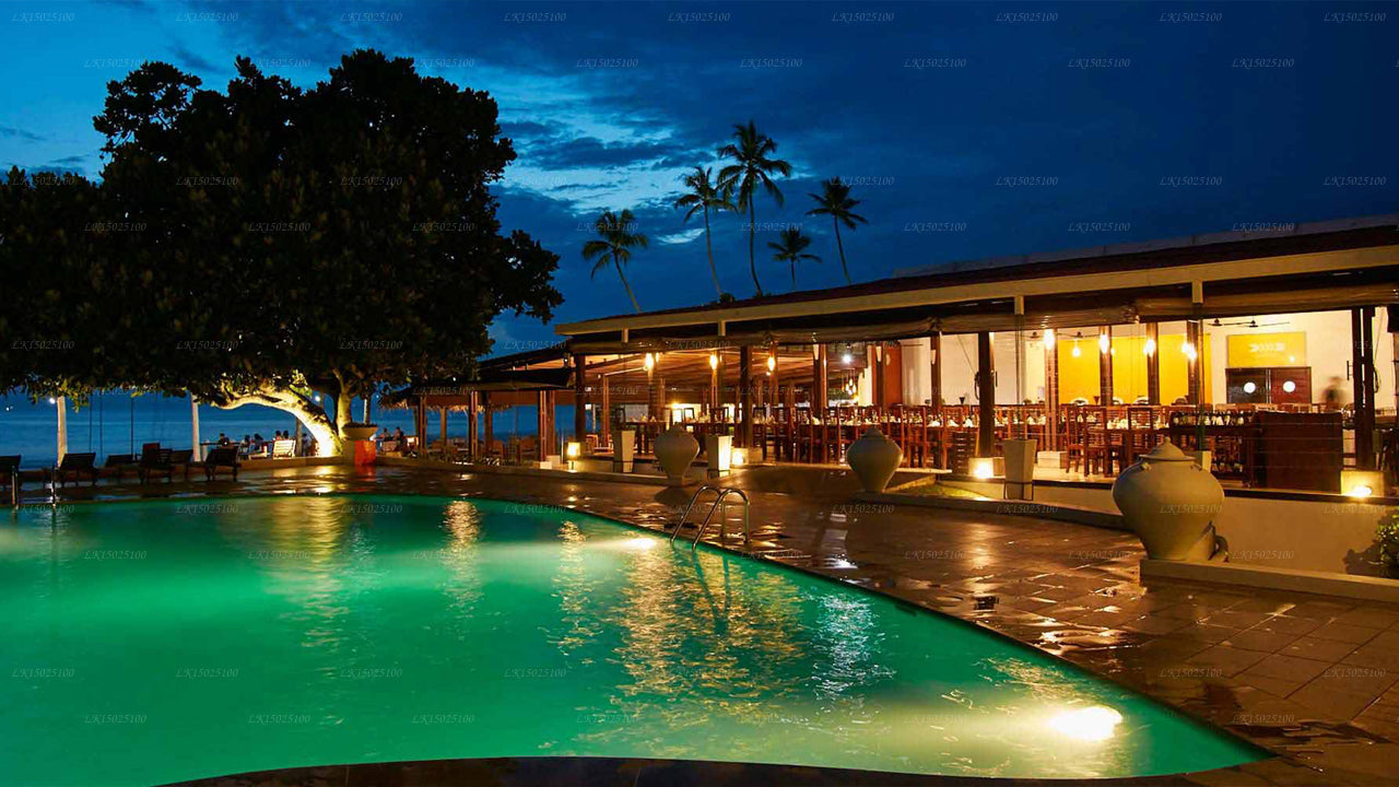 Cítricos Hikkaduwa, Hikkaduwa