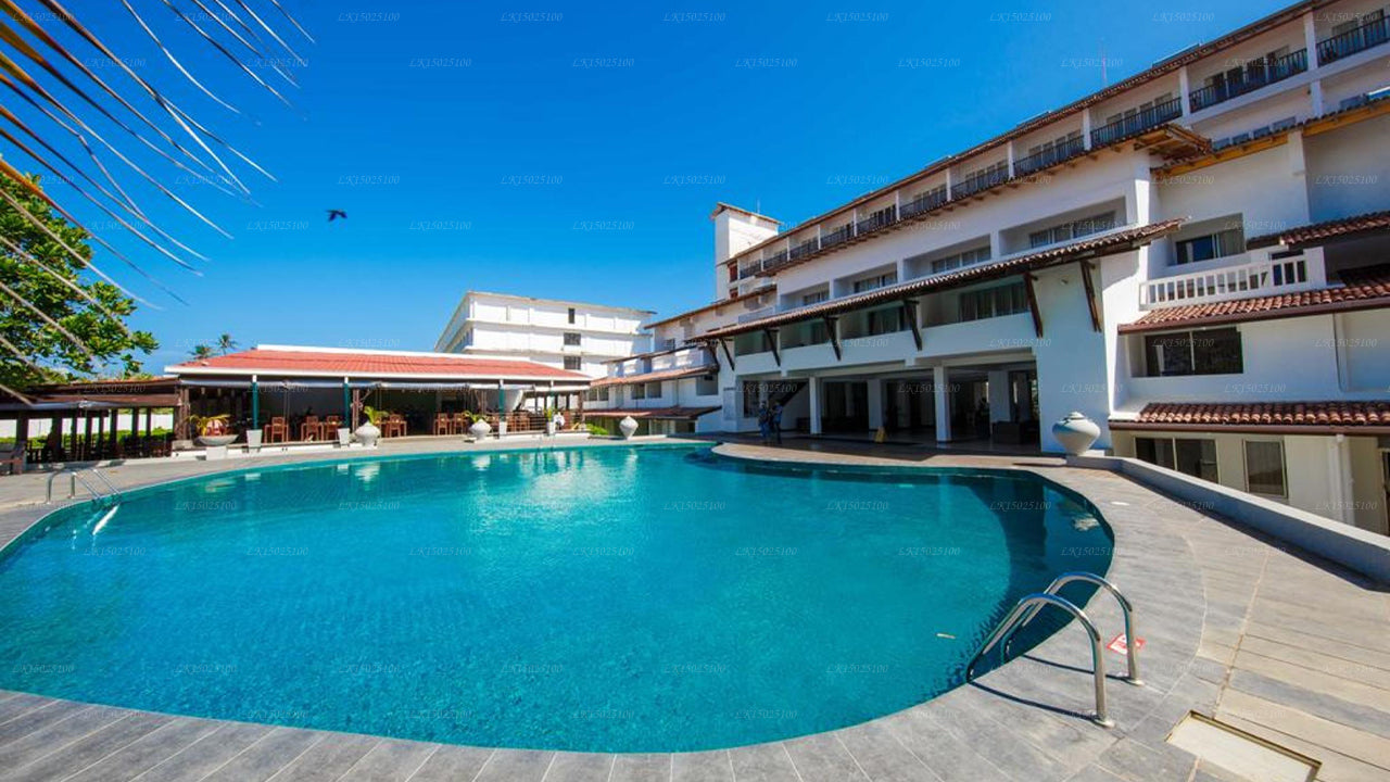 Cítricos Hikkaduwa, Hikkaduwa