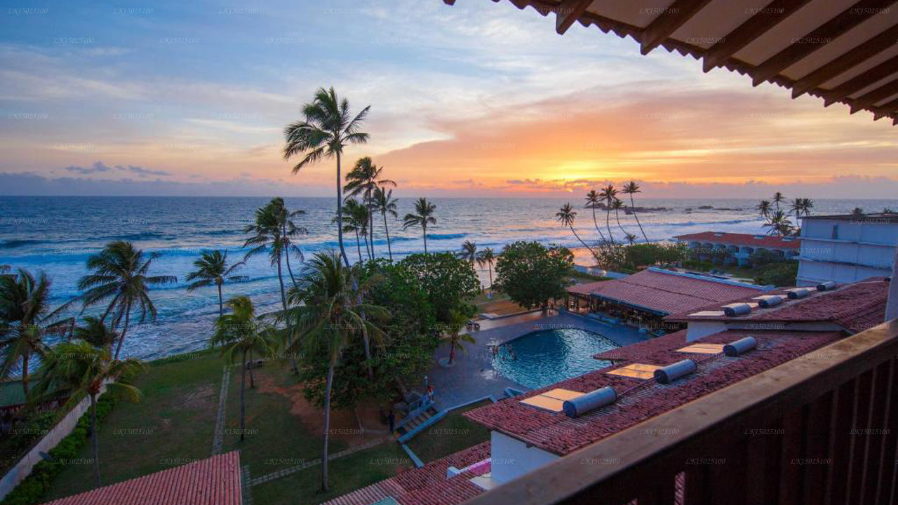 Cítricos Hikkaduwa, Hikkaduwa