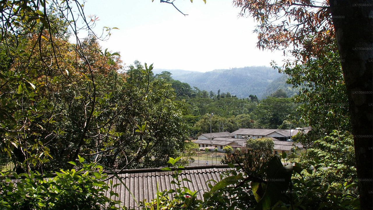 Kothmale Holiday Bungalow, Kothmale