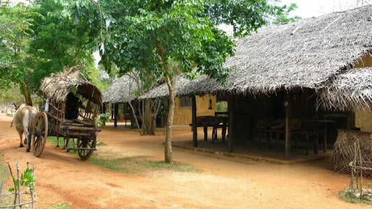 Puranagama, Anuradhapura