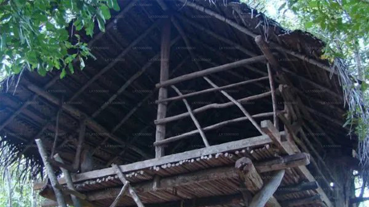 Cabaña de ensueño, Habarana