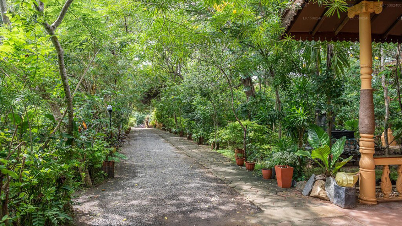 Nature Lanka Health Resort, Tangalle