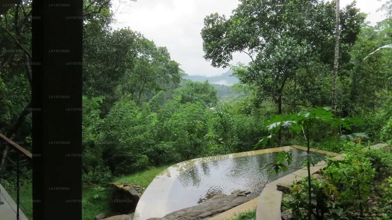 Bandura Holiday Bungalow, Kalawana