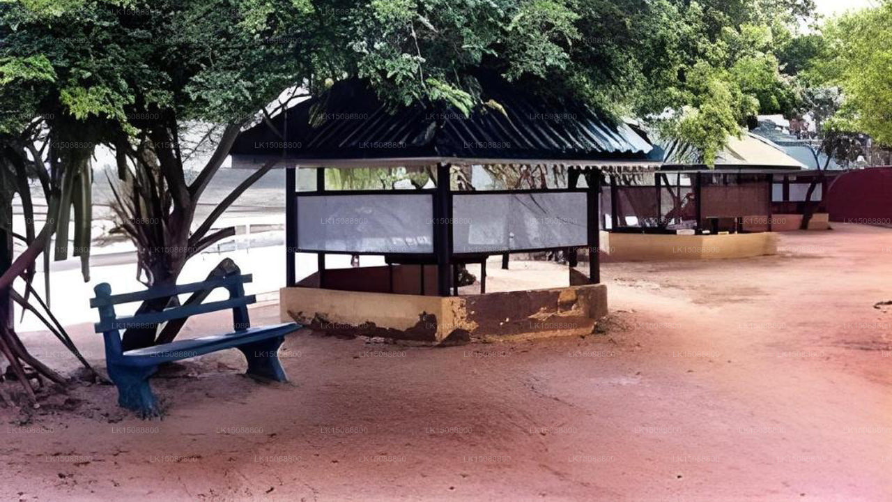 Taniya Hotel, Kalpitiya