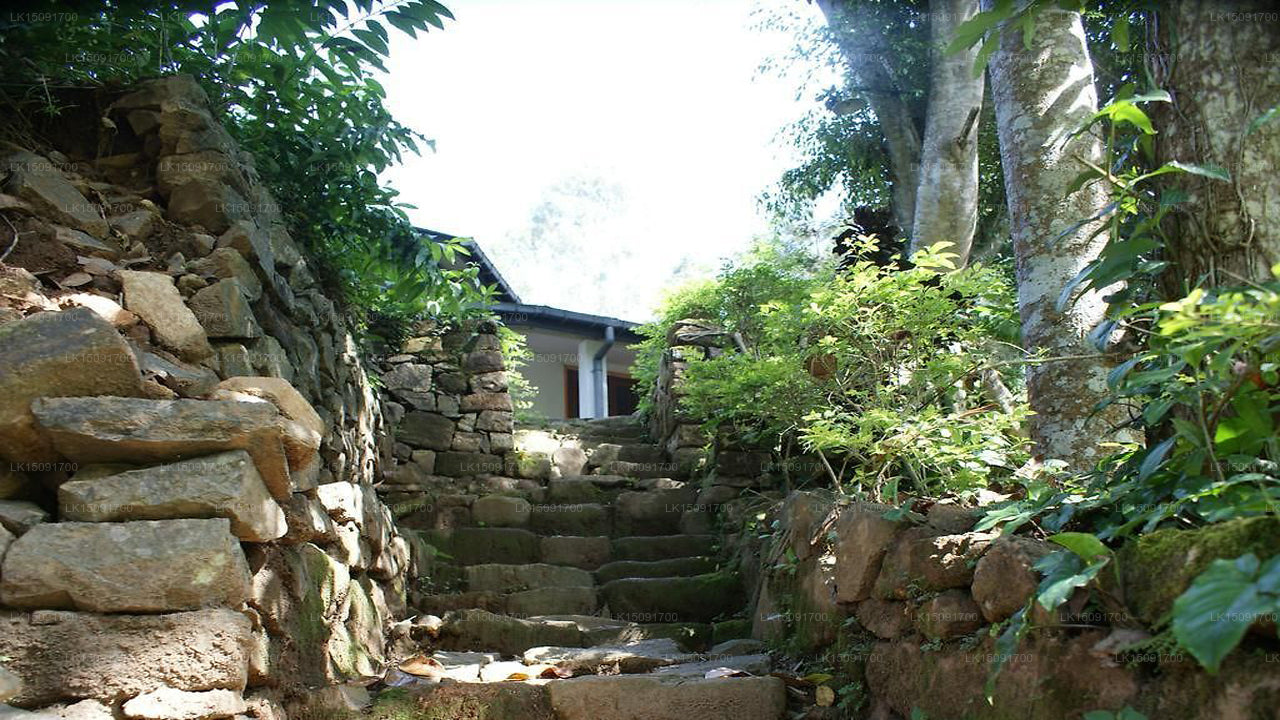 Dell Holiday Home, Bandarawela