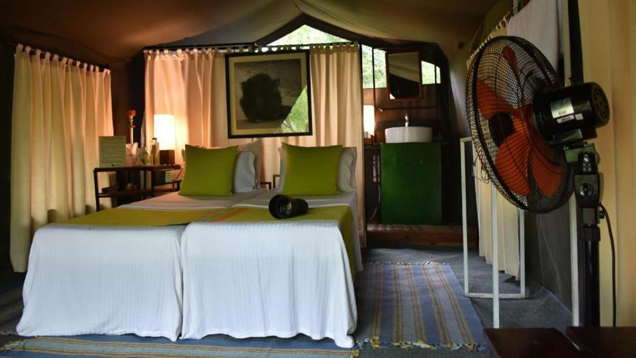 Explorer by Eco Team, Dambana