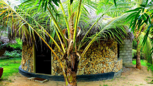 Turtle Beach Cabanas, Tangalle