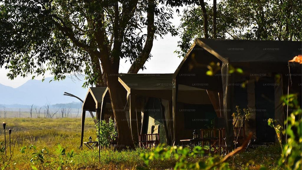 Rajawewa Lake Resort