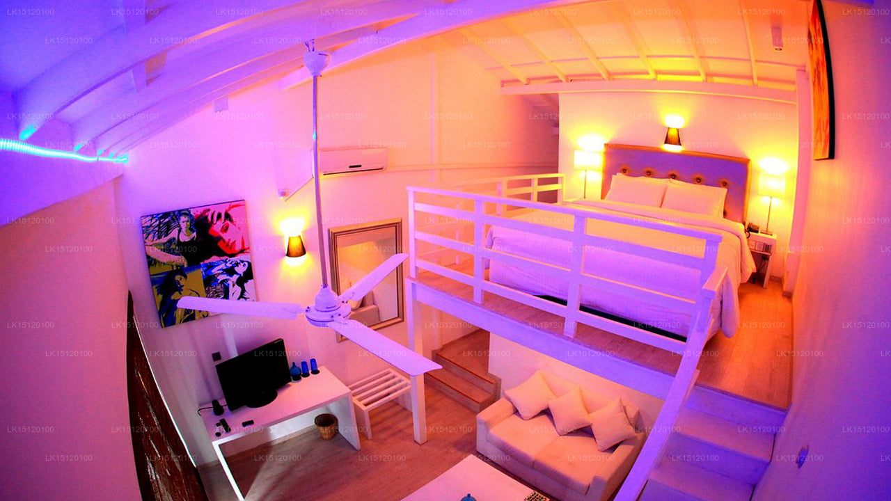 Cantaloupe Aqua, Thalpe