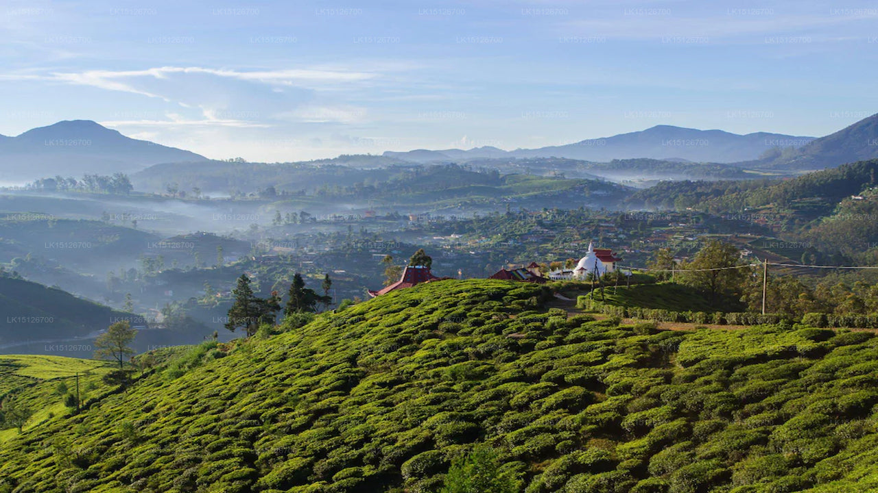 Hillcrest Residency, Nuwara Eliya