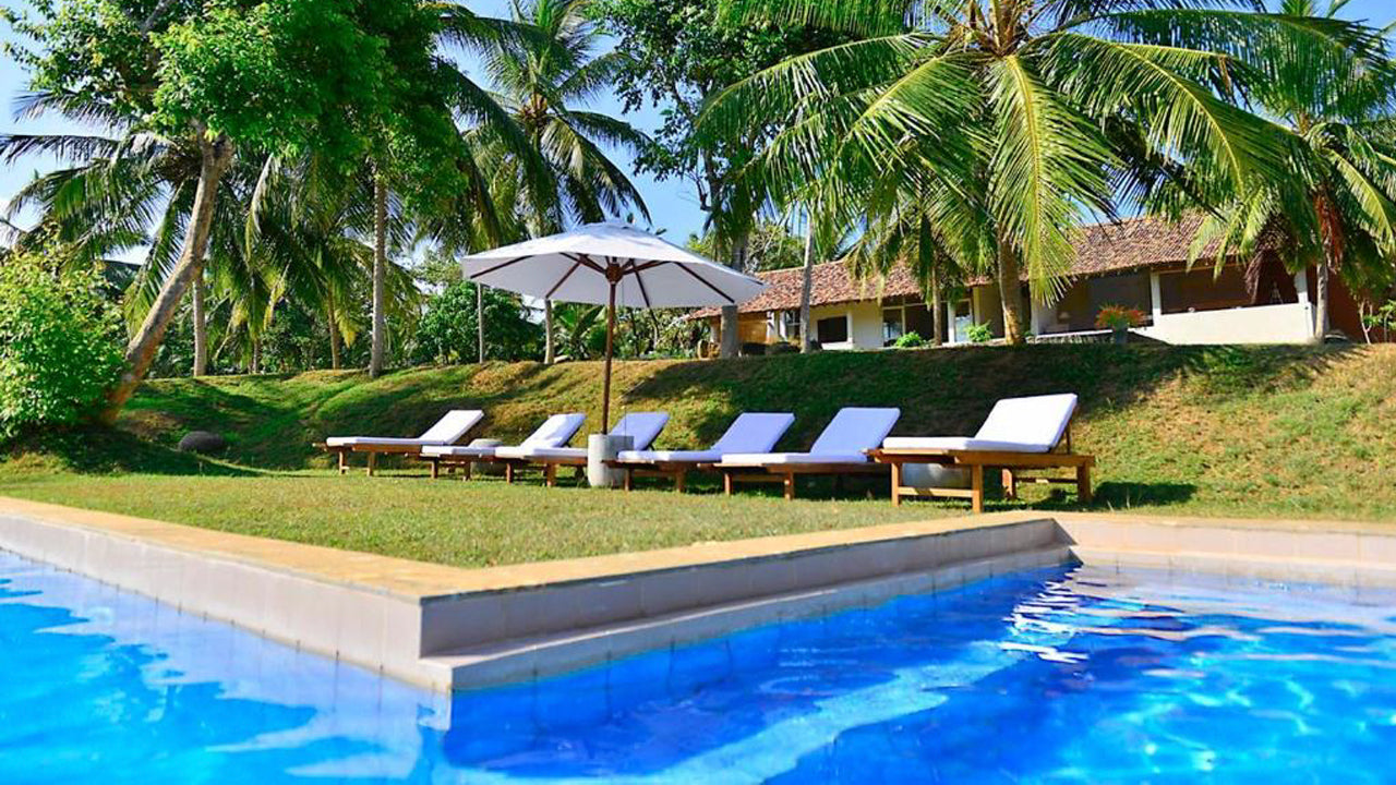 Blue Heights, Dikwella