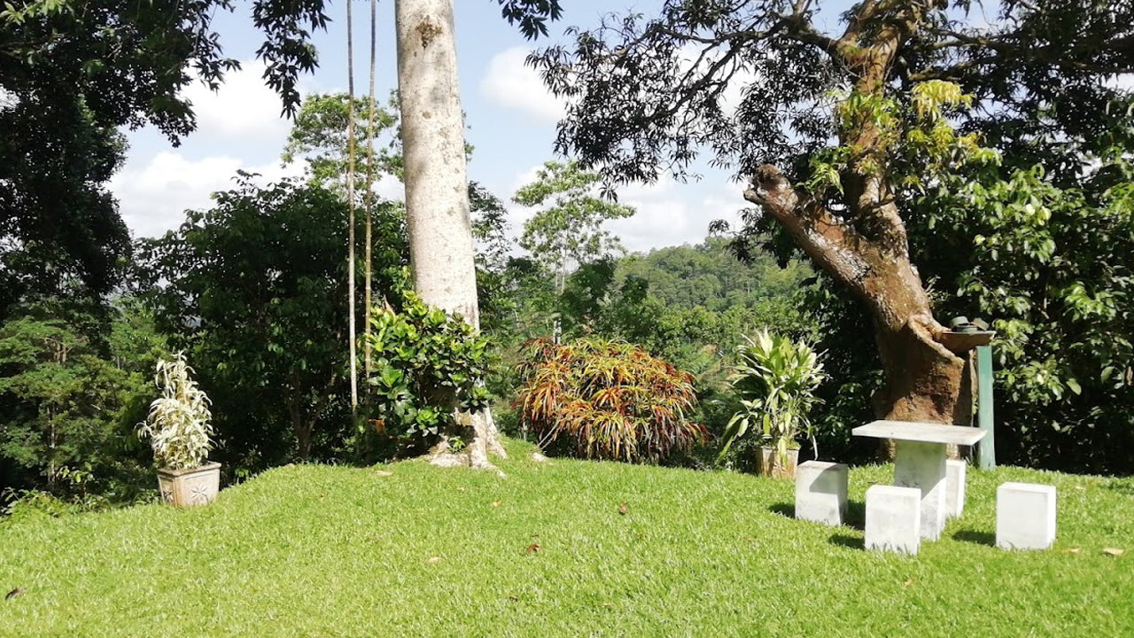Eco Jungle Hideout, Matara