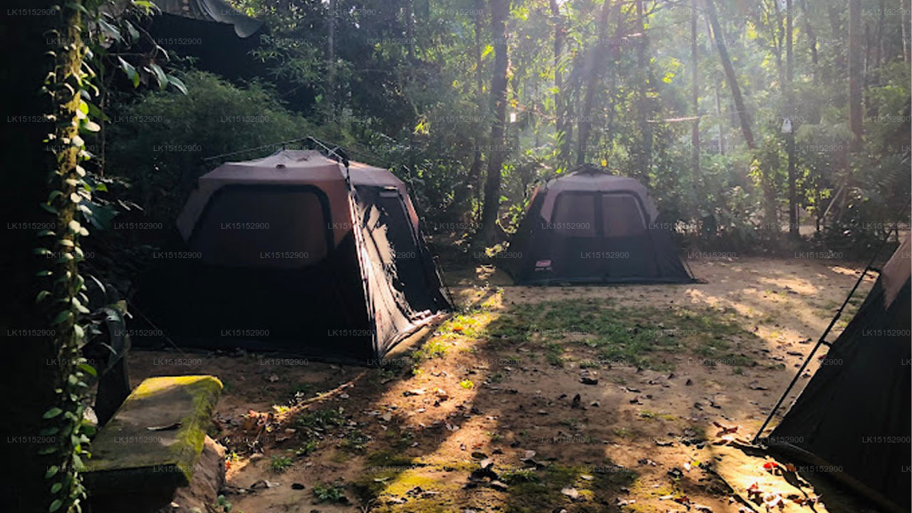 Sisira's River Lounge, Kitulgala