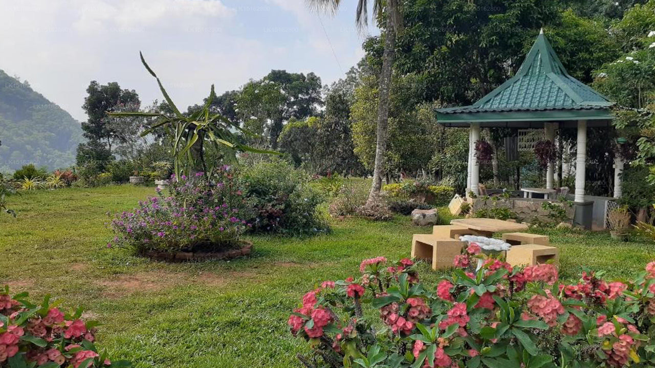 Primrose Bungalow, Kandy