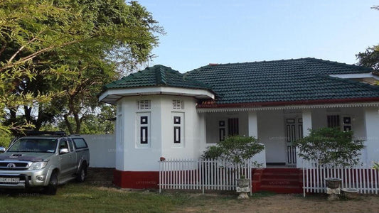 Mansion Safari, Minneriya