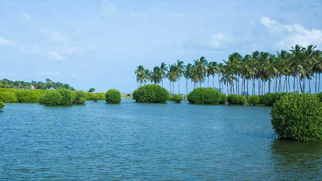 Citrus Kalpitiya, Kalpitiya