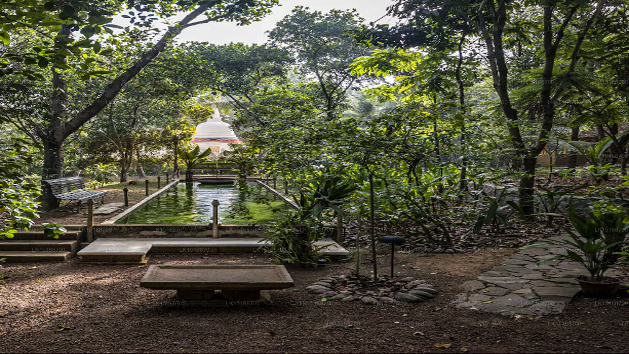 Casa Heliconia, Katunayake