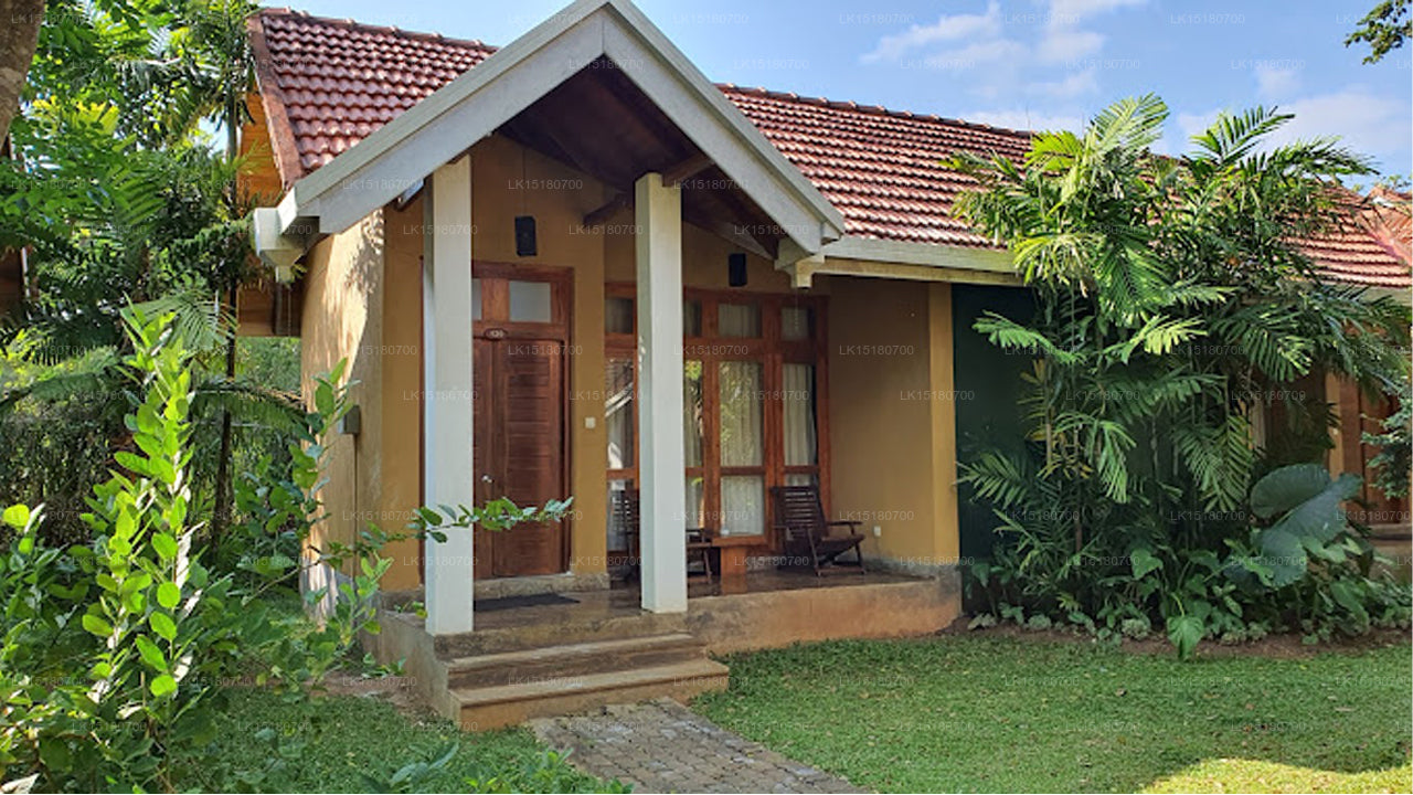 Saunter Paradise Hotel, Sigiriya