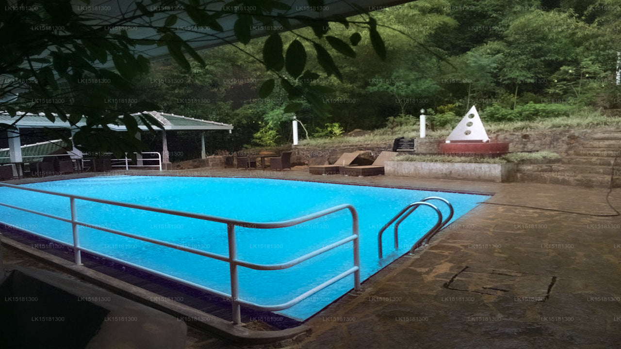 Forest Edge, Kitulgala