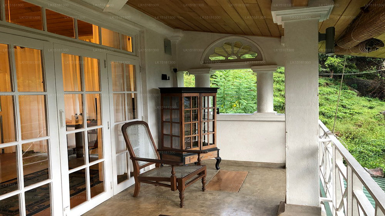 Forest Edge, Kitulgala