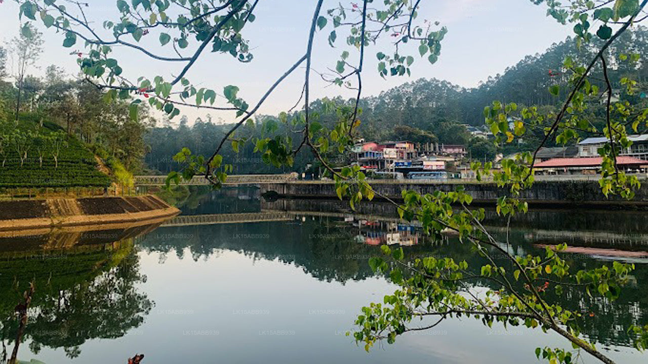 Scenery River Side Eco Resort