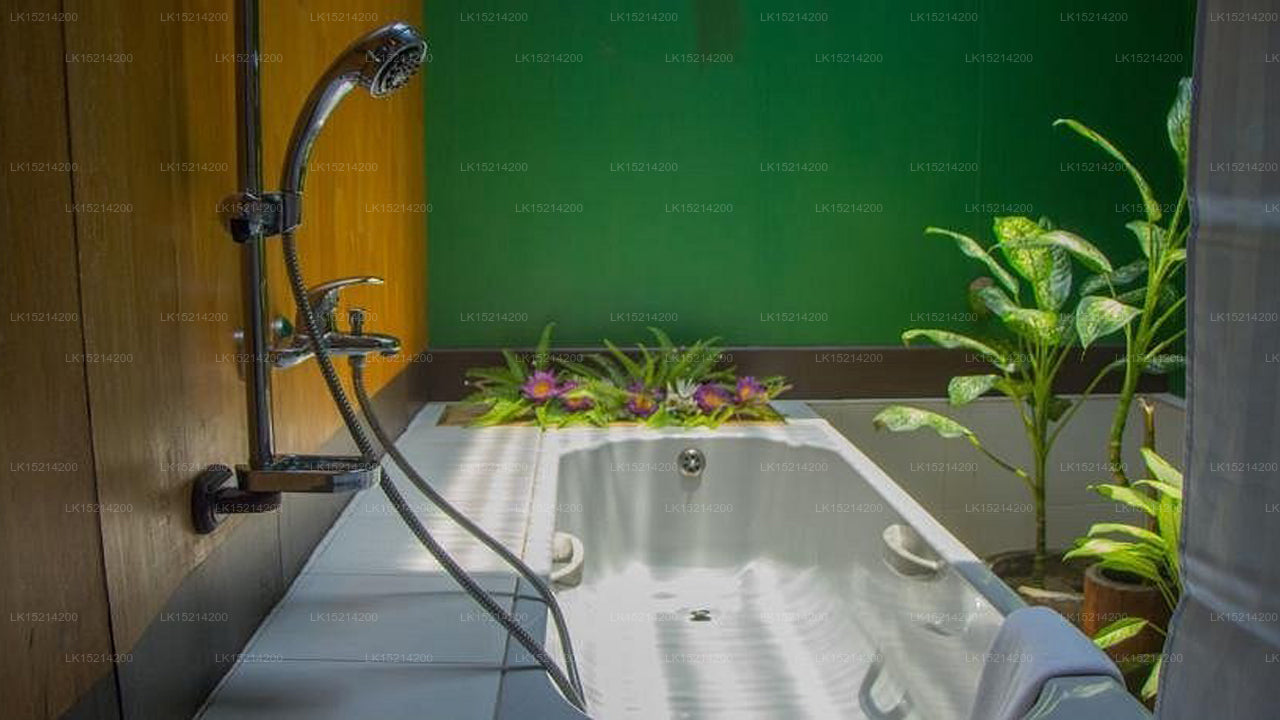 Purple Coot Ayurveda Retreat, Wadduwa