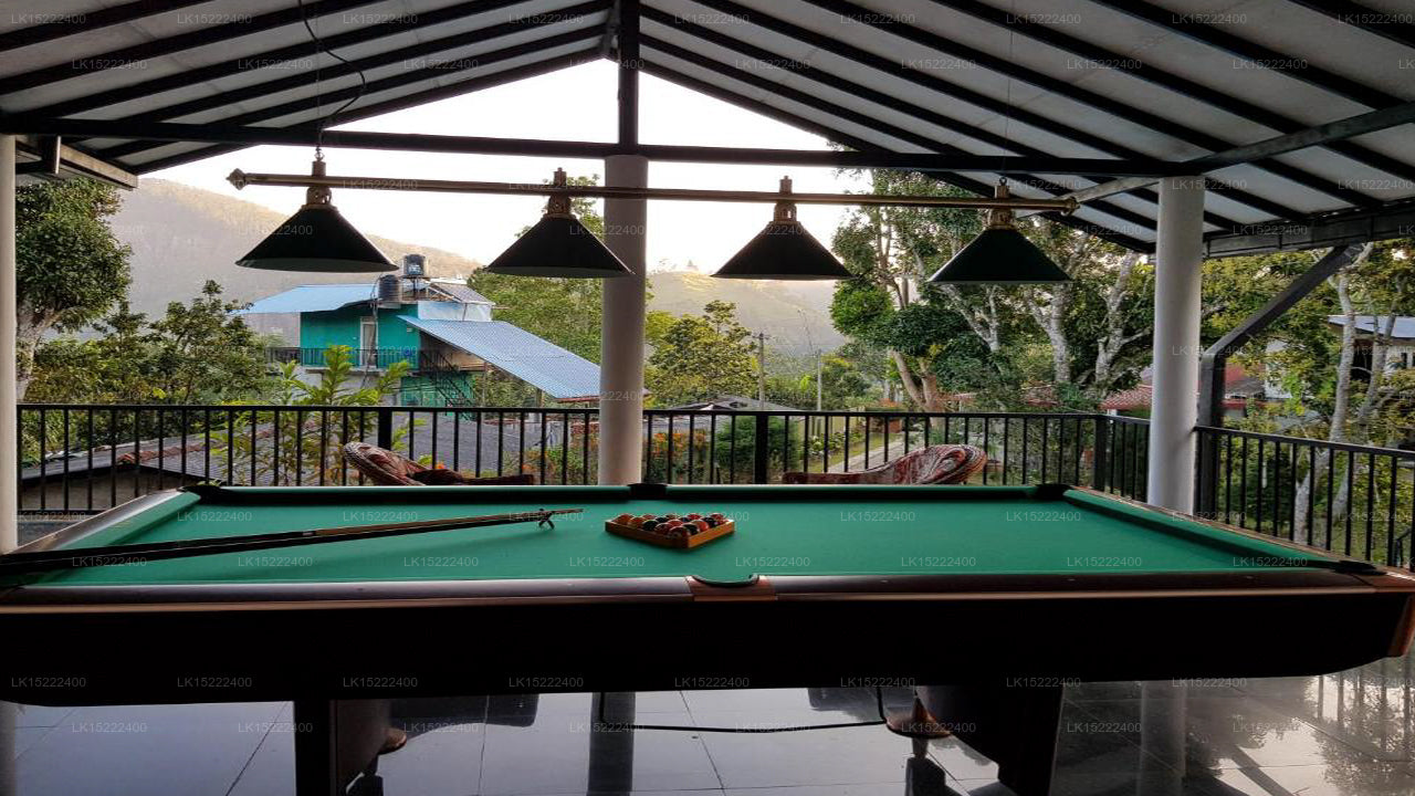 Forest Paradise, Ella