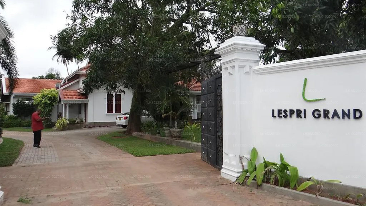 Lespri Grand, Negombo