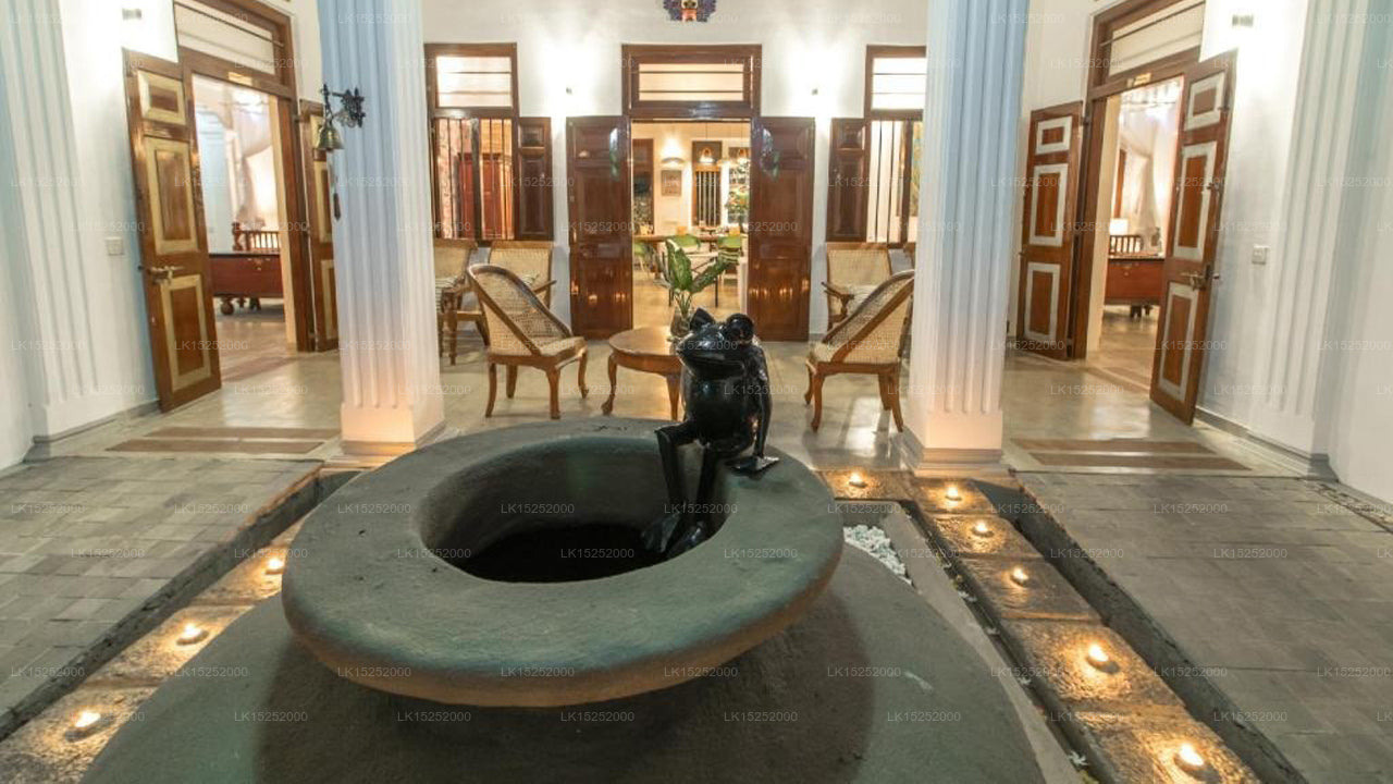 The Pineapple Villa, Gampaha