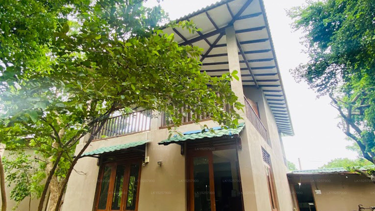 Yala Wana Arana Resort, Kataragama