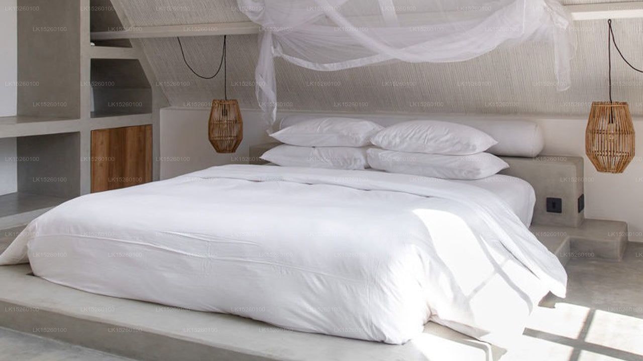 New Palm Resort, Ahangama