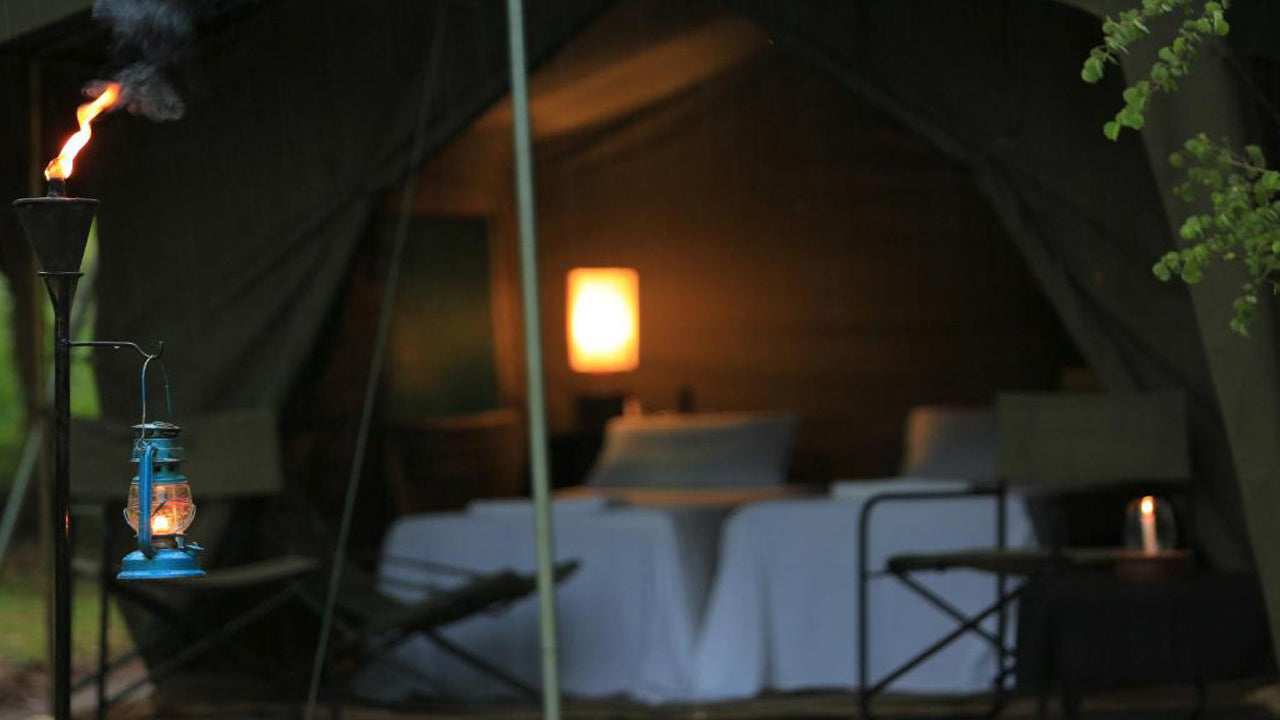 Big Game Camps and Lodges, Wilpattu