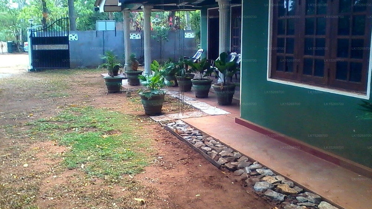 The Lake Breeze, Habarana