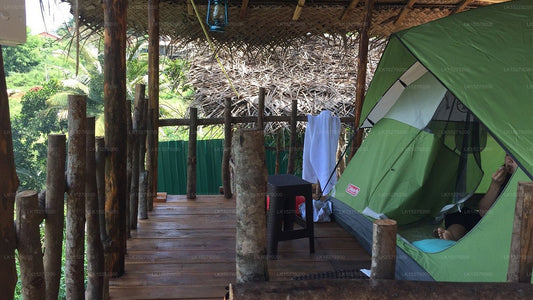 Kandy Eco Camp, Kandy